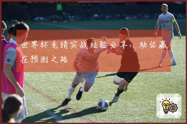 世界杯竞猜实战经验分享，助你赢在预测之路