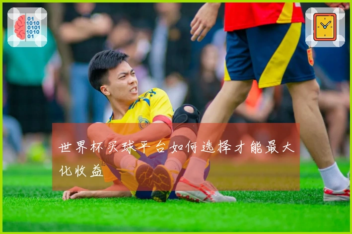 世界杯买球平台如何选择才能最大化收益