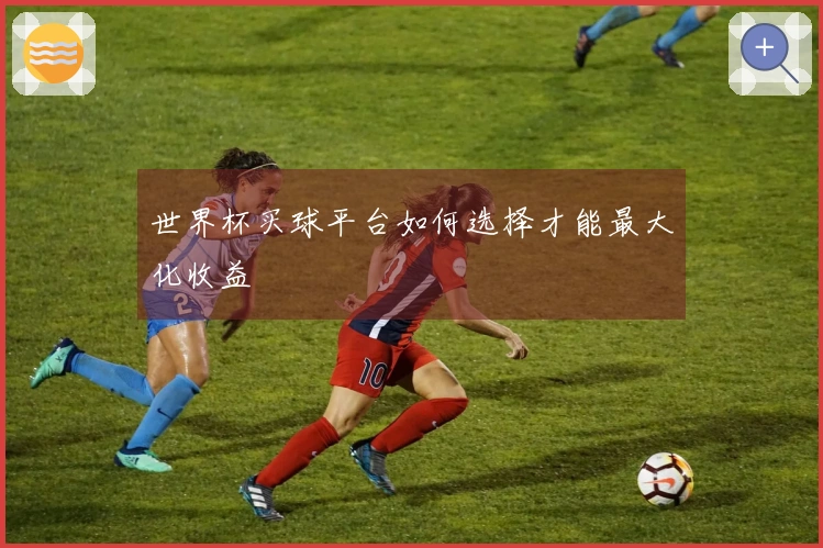 世界杯买球平台如何选择才能最大化收益