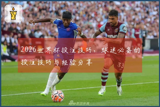 2026世界杯投注技巧，球迷必备的投注技巧与经验分享