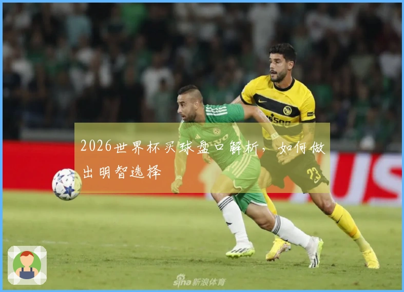 2026世界杯买球盘口解析，如何做出明智选择