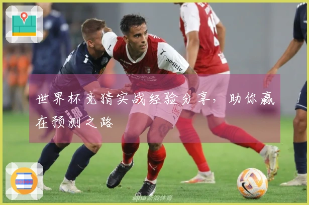世界杯竞猜实战经验分享，助你赢在预测之路