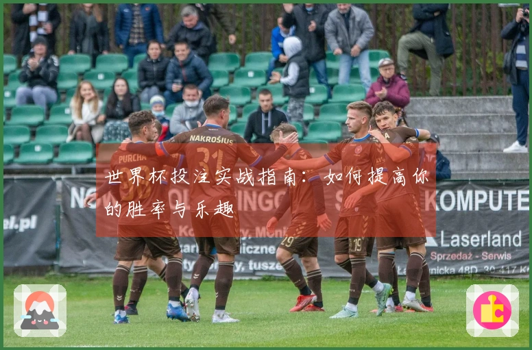 世界杯投注实战指南：如何提高你的胜率与乐趣