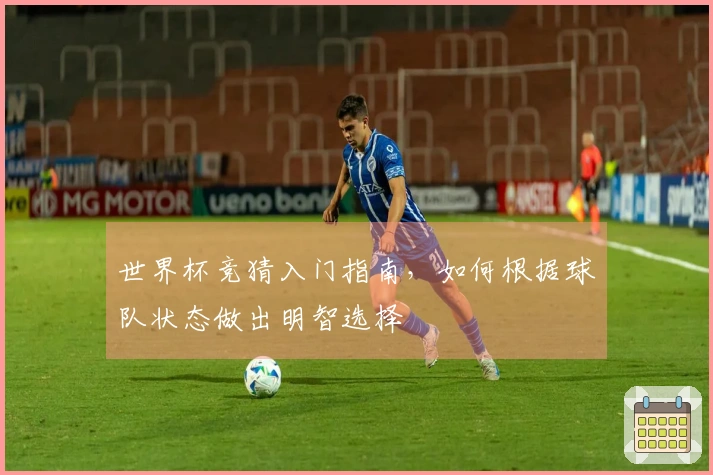 世界杯竞猜入门指南，如何根据球队状态做出明智选择