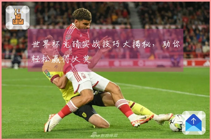 世界杯竞猜实战技巧大揭秘，助你轻松赢得大奖