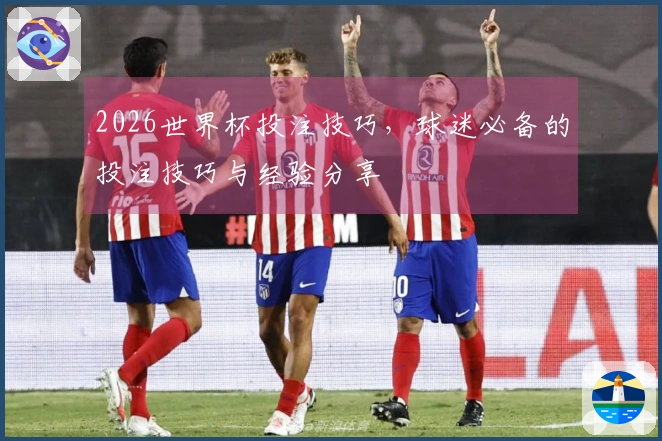 2026世界杯投注技巧，球迷必备的投注技巧与经验分享