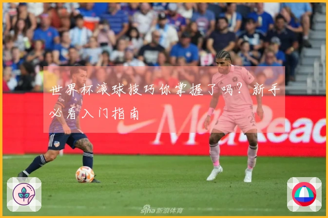 世界杯滚球技巧你掌握了吗？新手必看入门指南