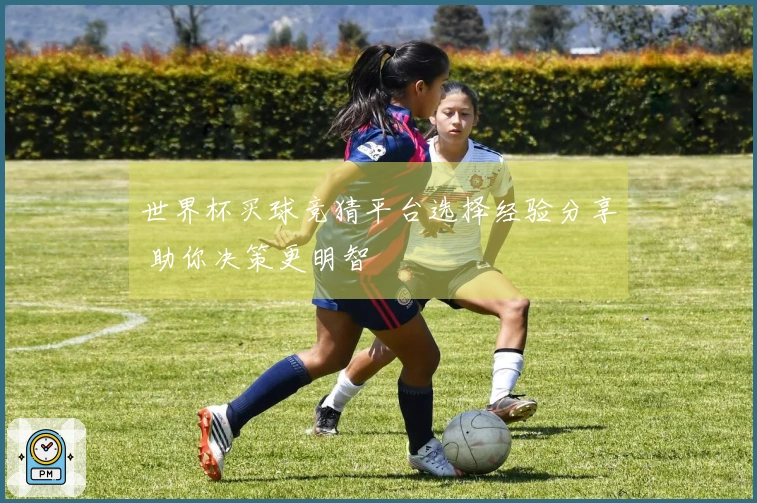 世界杯买球竞猜平台选择经验分享 助你决策更明智